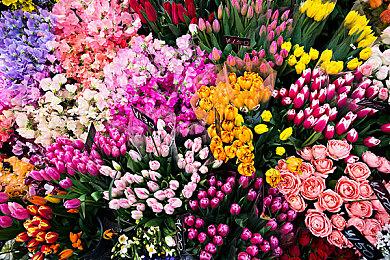 《EA Sports FC 24》新视频深度剖析比赛日体验